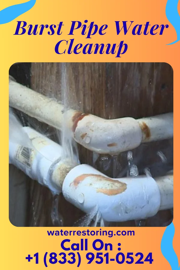 Burst Pipe Water Cleanup in Steubenville, OH