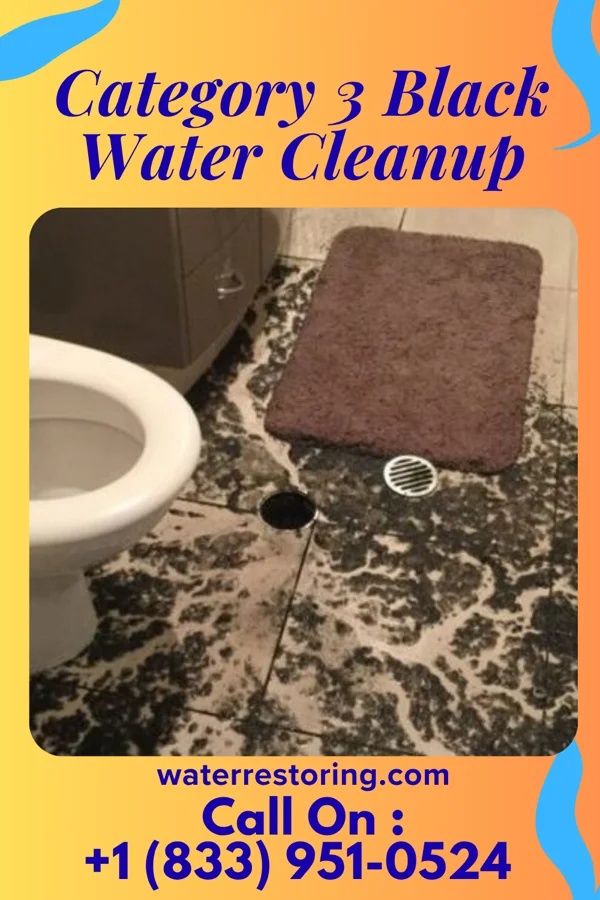 Category 3 Black Water Cleanup in Steubenville, OH