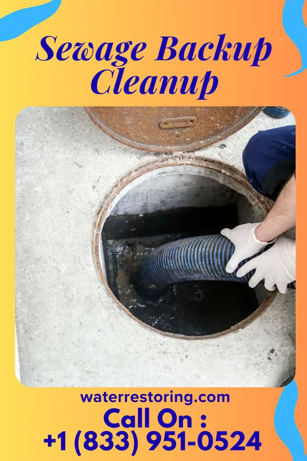 Sewage Backup Cleanup in Steubenville, OH