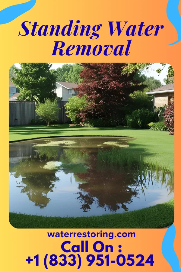 Standing Water Removal in Steubenville, OH